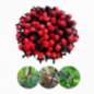 Goutteur Variflow rouge réglable de 0 à 70 litres/heure. 5000 unités.