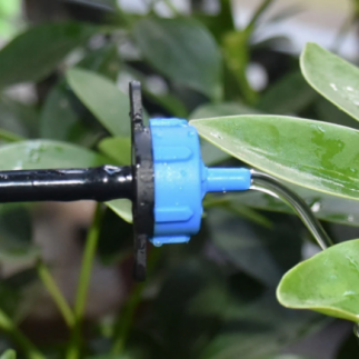 Achetez un goutteur auto-compensateur de 8 l/h (pack de 50 unités)