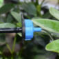 Goutteur auto-compensateur 8 l/h amovible (Pack de 50 unités) Goutteur auto-compensateur 8 l/h amovible (Pack de 50 unités)
