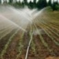 Aspersor Agrícola Circular 6003-C de 1/2" | Baixa Vazão e Ampla Cobertura