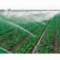 Arroseur agricole à impact 6004 SD 3/4" | Irrigation circulaire professionnelle jusqu'à 16,7 m
