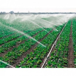 Achetez l'arroseur circulaire 5035 SD 3/4", lot de 5 und – Irrigation