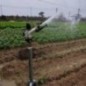 Aspersor de irrigação de alcance ajustável de 1" com 4 bicos e 1 chave de ajuste. Pacote com 4 unidades.