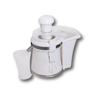 Licuadora de 0.3L y 250W  Potencia Compacta para Batidos Deliciosos