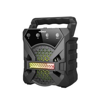 Altoparlante portatile wireless, suono nitido e portabilità totale