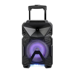 Enceinte portable sans fil, son stéréo et portabilité illimitée