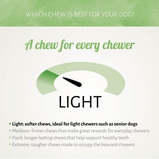 Friandises pour chien au poulet D'Light et bacon - 100 g