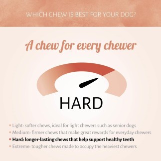 Snack Raw Hide White Plus Chicken Roll 8-2 pezzi