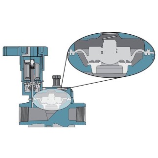 Acquista la valvola solenoide a basso flusso Rain Bird LFV 9V 3/4"
