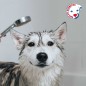 Iv San Bernard Tradicional bálsamo cristal clean para perros 1 l