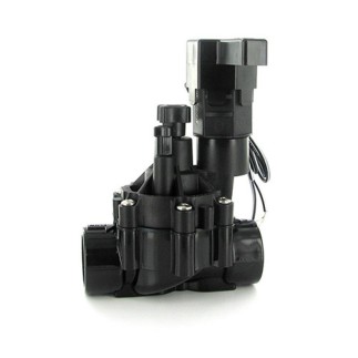 Valvola Rain Bird 100-DVF con controllo del flusso e solenoide da 24 V
