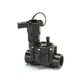 Acquista la valvola solenoide Rain Bird 100-DV 24V 1