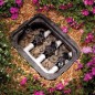 Elettrovalvola per irrigazione Rain Bird 100-HV con solenoide da 24 V - Alta affidabilità