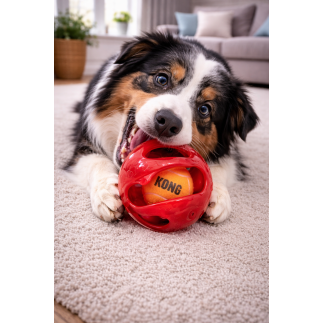 Balle pour chien KONG Jumbler avec poignée Ø 12 cm