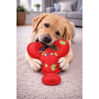 KONG Belly Flops Giocattolo galleggiante per cani a forma di , 30 cm