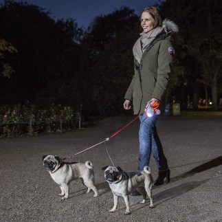 Compre o sistema de iluminação LED Flexi para cães