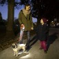 Système d'éclairage LED Flexi pour chiens