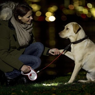 Compre o sistema de iluminação LED Flexi para cães