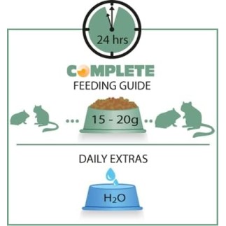 Acheter Versele-laga Aliment complet pour hamsters et gerbilles 500gr