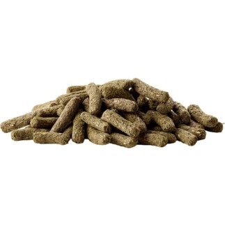 Comprar Alimento completo Versele-Laga para chinchila e Degu 500 gr