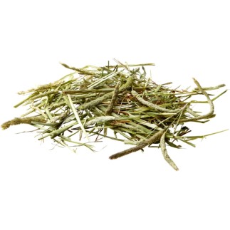Comprar Versele-Laga Nature Heno Timothy 1 kg