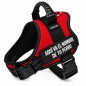 Harnais tactique personnalisé PRIMFORT pour grands chiens, réglable, rouge, taille L (21-32 kg) avec le nom de votre chien. Harnais tactique personnalisé PRIMFORT pour grands chiens, réglable, rouge, taille L (21-32 kg) avec le nom de votre chien.