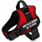 Harnais tactique personnalisé PRIMFORT pour chiens moyens, réglable, rouge, taille M (11-20 kg) avec le nom de votre chien. Harnais tactique personnalisé PRIMFORT pour chiens moyens, réglable, rouge, taille M (11-20 kg) avec le nom de votre chien.