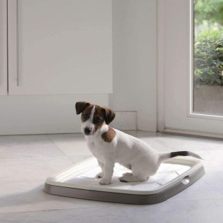 Achetez un bac à litière pour chiots, taille M.