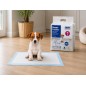 Coussinets de dressage pour chiens de taille moyenne, 15 unités