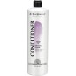 Iv San Bernard Tradicional bálsamo cristal clean para perros 1 l