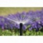 Difusor Rain Bird US-418. Alcance 5,20 mts Difusor Rain Bird US-418. Alcance 5,20 mts