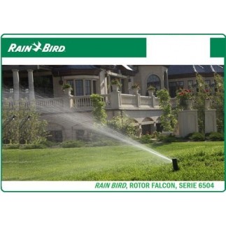 Acquista l'irrigatore circolare Falcon 6504. Gittata: da 11,9 a 19,8 metri. Filettatura: 1";0"