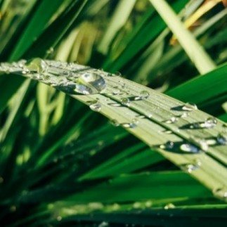 Compre Hunter Mini Clik Rain Sensor