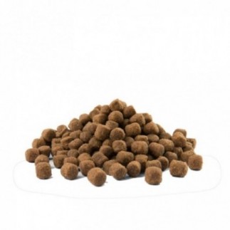 Compre OPTI Life Skin Care Mini Ração para Cães com Salmão e Arroz 7,5 kg