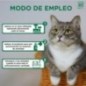 Spray insetticida Menforsan per gatti 250 ml Spray insetticida Menforsan per gatti 250 ml