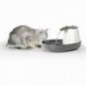 Abbeveratoio automatico per gatti Cascade