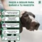 Shampoo de óleo de vison 300 ml