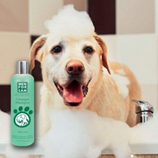 Comprar Champú para perros  Aloe Vera 5L