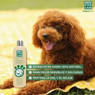 Achetez le shampoing naturel à l'avoine Menforsan 300 ml