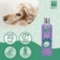 Shampoing pour cheveux blancs 300 ml Shampoing pour cheveux blancs 300 ml