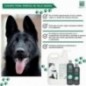 Shampoo Menforsan para cães de pelo preto, frasco de 300 ml Shampoo Menforsan para cães de pelo preto, frasco de 300 ml