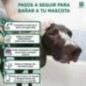 Shampoo Menforsan para cães de pelo preto, frasco de 300 ml Shampoo Menforsan para cães de pelo preto, frasco de 300 ml