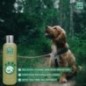 Shampoo de Melaleuca 300ml