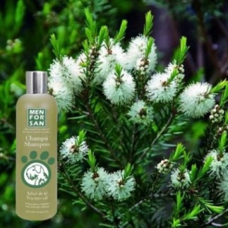 Compre Shampoo Tea Tree para Cães 300ml