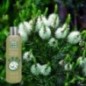 Shampoo de Melaleuca 300ml