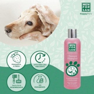 Shampooing après-shampooing Menforsan 300 ml
