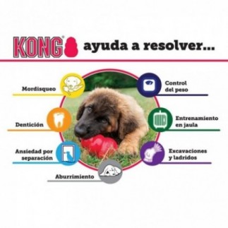 Achetez Kong Classic petit