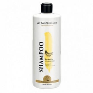Comprar Champ£ de banana para perros | Champ£ Iv San Bernard