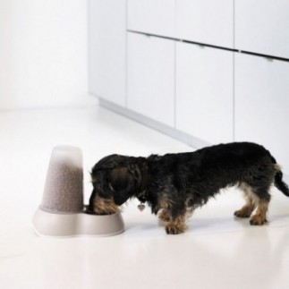 Compre alimentador automático para cães tipo funil de 0,7 litros