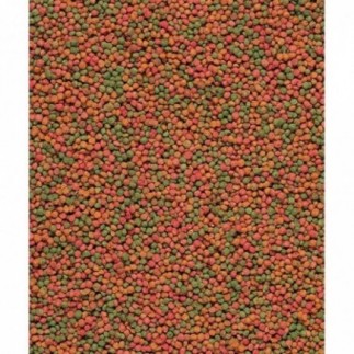 Comprar Nutribird B14 - Pienso de Mantenimiento para pájaros - Pack de 3 kg